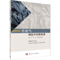 [M]页岩气 崛起中的新能源-9787030642011