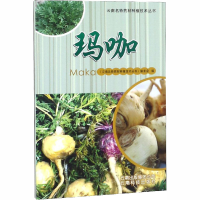 [M]玛咖-9787541689611