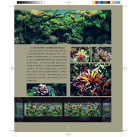 [M]热带雨林景观设计 会呼吸的艺术-9787109270411