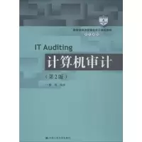 [M]计算机审计(第2版) 陈伟 著 -9787300275017