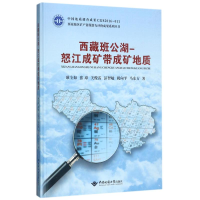 [M]西藏班公湖:怒江成矿带成矿地质-9787562539353