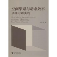[M]空间集聚与动态效率 从理论到实践-9787308184274