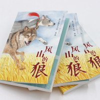 [M]风山的狼-9787501616787