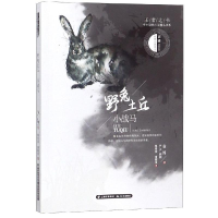 [M]野兔土丘.小战马/王者之书 中外动物小说精品书系-9787541498190