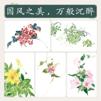 [M]诗经植物水彩绘 池汐 编 -9787115552426