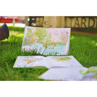 [M]感悟自然系列(全5册)-9787558315305