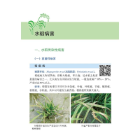 [M]水稻病虫草害诊断与防治原色图谱-9787109272996