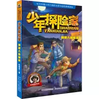 [M]神秘人的偷袭-9787559539816