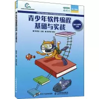 [M]青少年软件编程基础与实战 图形化编程三级-9787115561428