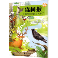 [M]秃鼻乌鸦从南方飞来了 彩色版-9787539155845