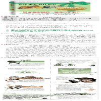 [M]绿野仙踪(名家名画版)-9787550204256
