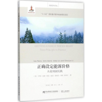 [M]正确设定能源价格-9787565430299