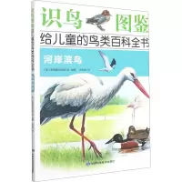 [M]河岸滨鸟-9787542425508