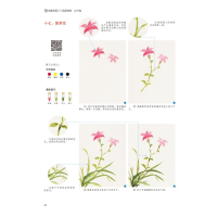 [M]青藤国画入门视频教程·花卉篇-9787540149444