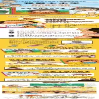 [M]我爱上小学(全3册)-9787570708772