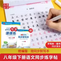 [M]初中生写字课课练 8年级 下 人教版-9787313219473