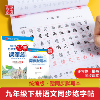 [M]初中生写字课课练 9年级 下 人教版-9787313219480