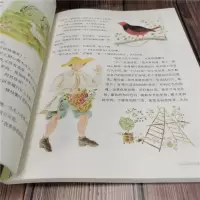 [M]王尔德童话-9787500797180