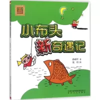 [M]小布头新奇遇记:注音版-9787531345732