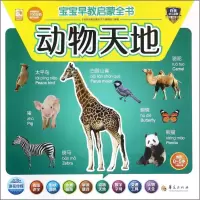 [M]宝宝早教启蒙全书-9787508087306