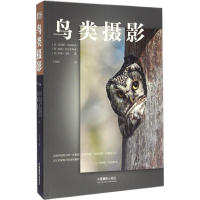 [M]鸟类摄影-9787517904533