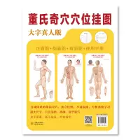 [M]董氏奇穴穴位挂图 大字真人版-9787521411829