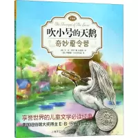 [M]奇妙夏令营-9787532778751
