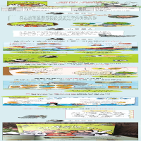 [M]暖暖心动物绘本-9787559619372