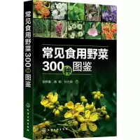 [M]常见食用野菜300种图鉴-9787122387745