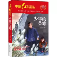 [M]少年的荣耀-9787572119262
