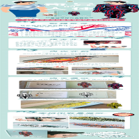 [M]奇异的人体-9787511027399