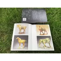 [M]国宝档案 寄托文化传承的中华文物-9787516826317
