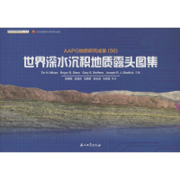 [M]世界深水沉积地质露头图集-9787502198039