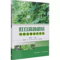 [M]豇豆高效栽培与病虫害绿色防控-9787109281783