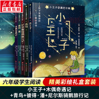 [M]小王子奇遇尼尔斯:小王子+木偶奇遇记+青鸟+彼得·潘+尼尔斯骑鹅旅行记(套装共5册)-2200464000034