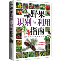 [M]野果识别与利用指南 王亚平 等 编 -9787572504174