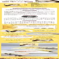 [M]画家与猫-9787571510770