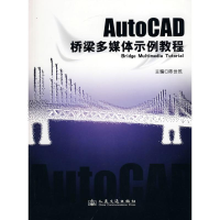 [M]AUTOCAD桥梁多媒体实例教程-9787114080319