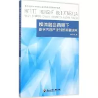 [M]媒体融合背景下数字内容产业创新发展研究-9787517813019