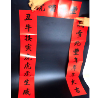 [M]我们的新年 升级版 王伟,跃然纸上 绘 -9787549389605