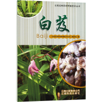 [M]白芨-9787541672781