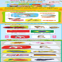 [M]0-3岁宝宝早教撕不烂纸板书(全8册) 海润阳光 绘 -9787570434411