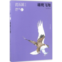 [M]雄鹰飞翔-9787533292478