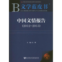 [N]中国文情报告-9787509744741