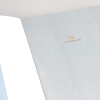 [M]望月(赵丽宏专集) 经典彩绘本 赵丽宏 著 -9787571504007