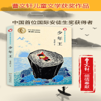 [M]少年王-9787539774626