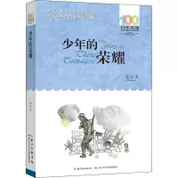 [M]少年的荣耀-9787572119835