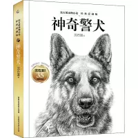 [M]神奇警犬-9787115512260