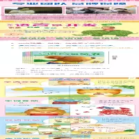 [M]宝宝学说话:0-3岁语言启蒙书(全6册) 海润阳光 绘 -9787570431946