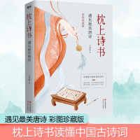 [M]枕上诗书 遇见最美唐诗 彩图珍藏版-9787514381399